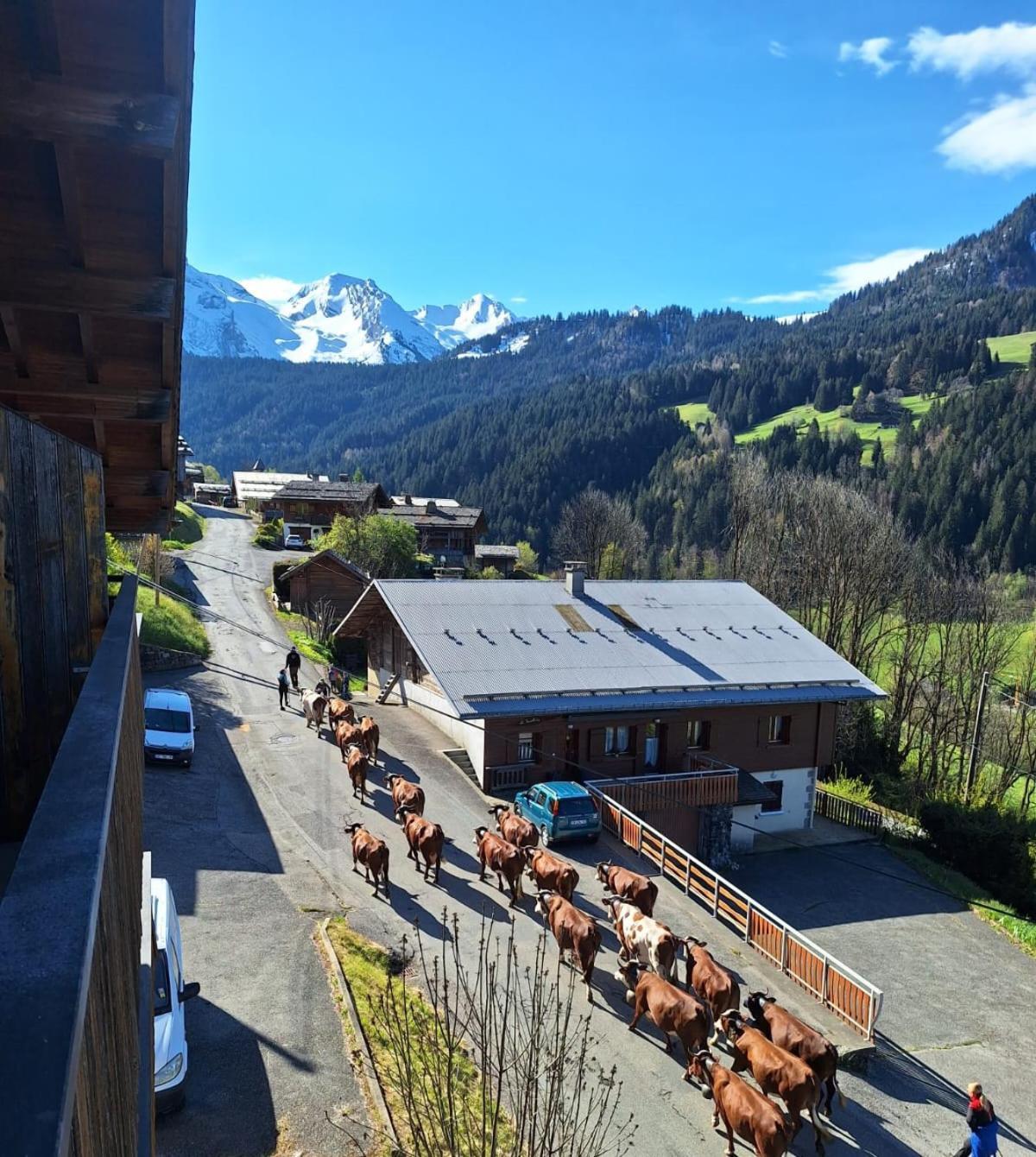 La Loulettaz Apartment Le Grand-Bornand Exterior photo